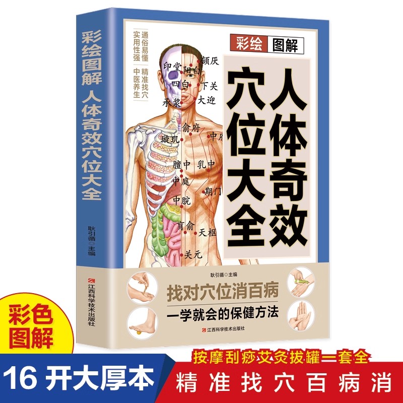 Health & Wellness Vector - Acupoint Massage & TCM Health Preservation