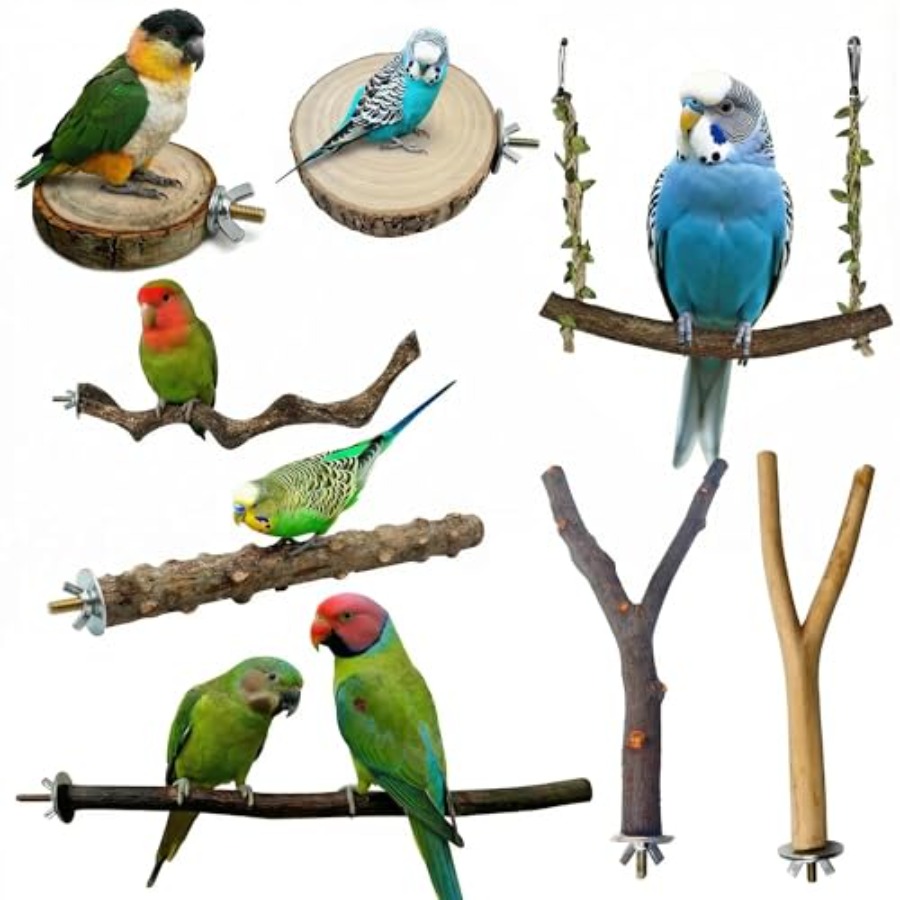 8PCS natural wood bird perches - đánh giá và giá Health & Wellness Vector