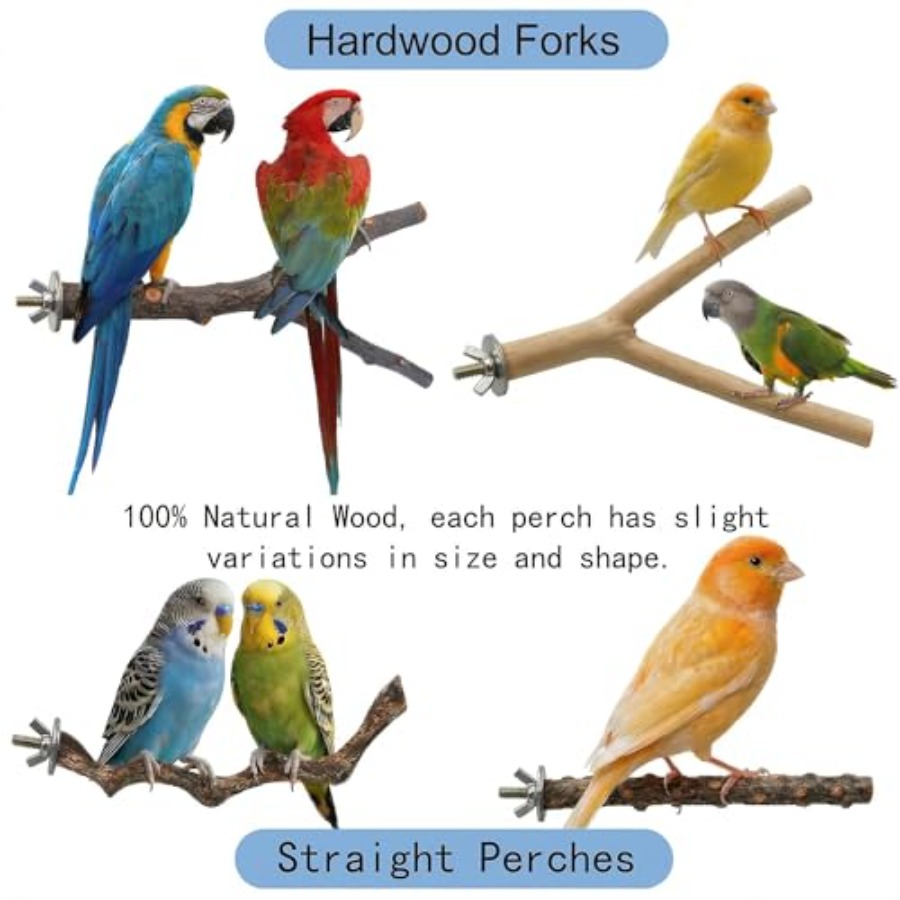 8PCS natural wood bird perches - đánh giá và giá Health & Wellness Vector