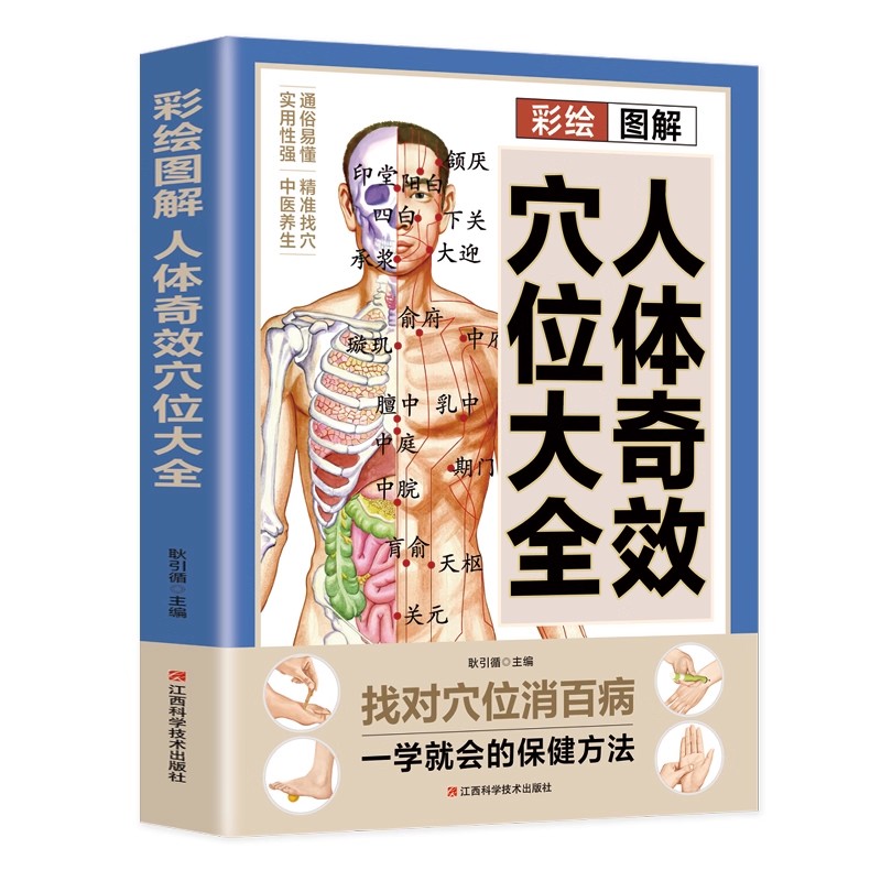 Acupoint Massage & TCM Health  - đánh giá và giá Health & Wellness Vector
